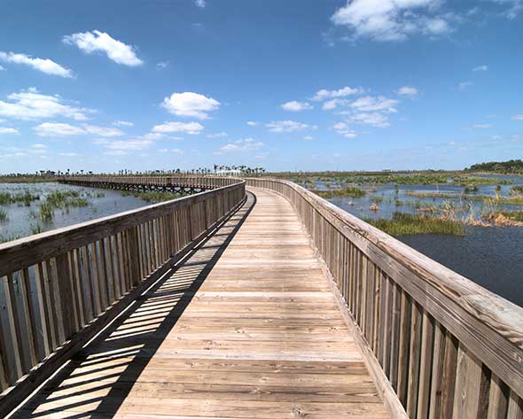 A nature trail boardwalk