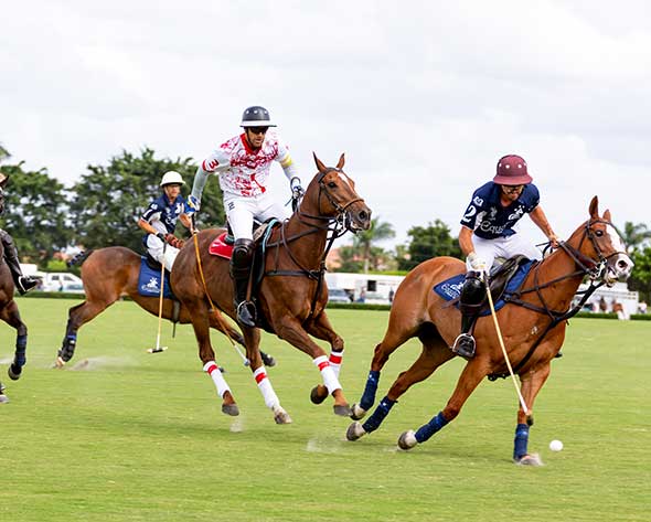 A game of polo being played